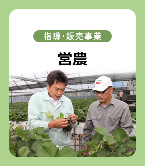 指導・販売事業 営農