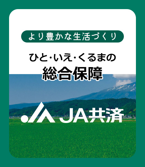 より豊かな生活づくり　ひと・いえ・くるまの総合保障　JA共済