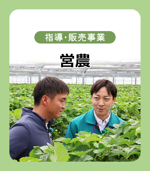 指導・販売事業 営農