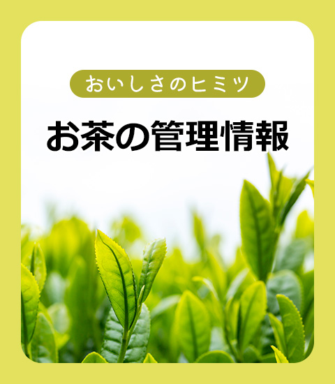 おいしさのヒミツ お茶の管理情報