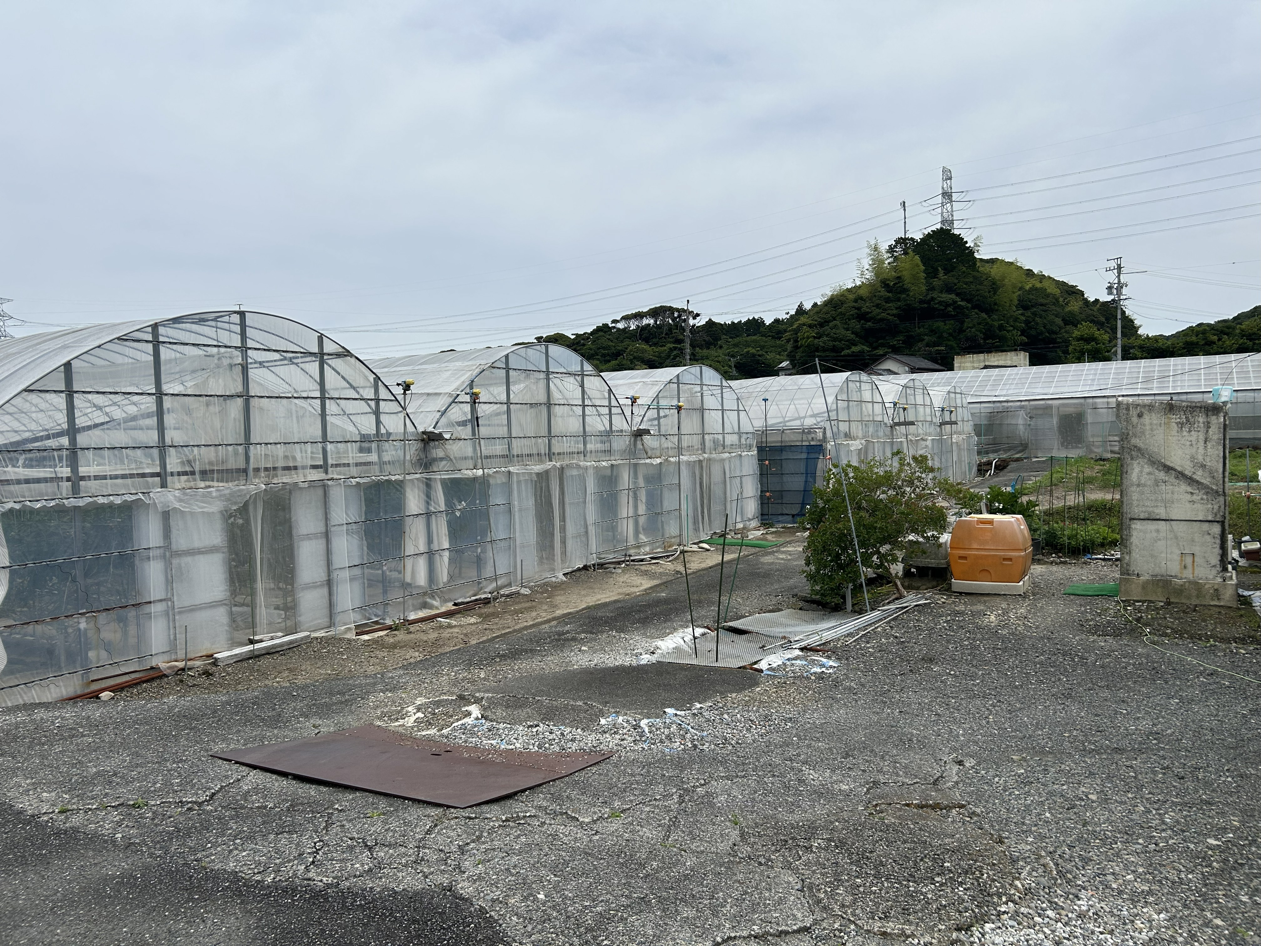 丸型三連ハウス他