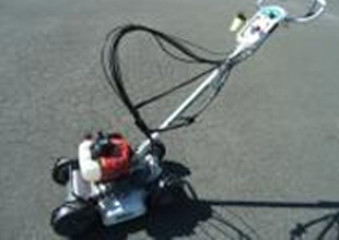 スパイダーモア