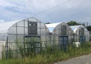 丸型三連ハウス