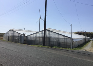 屋根型二連ハウス